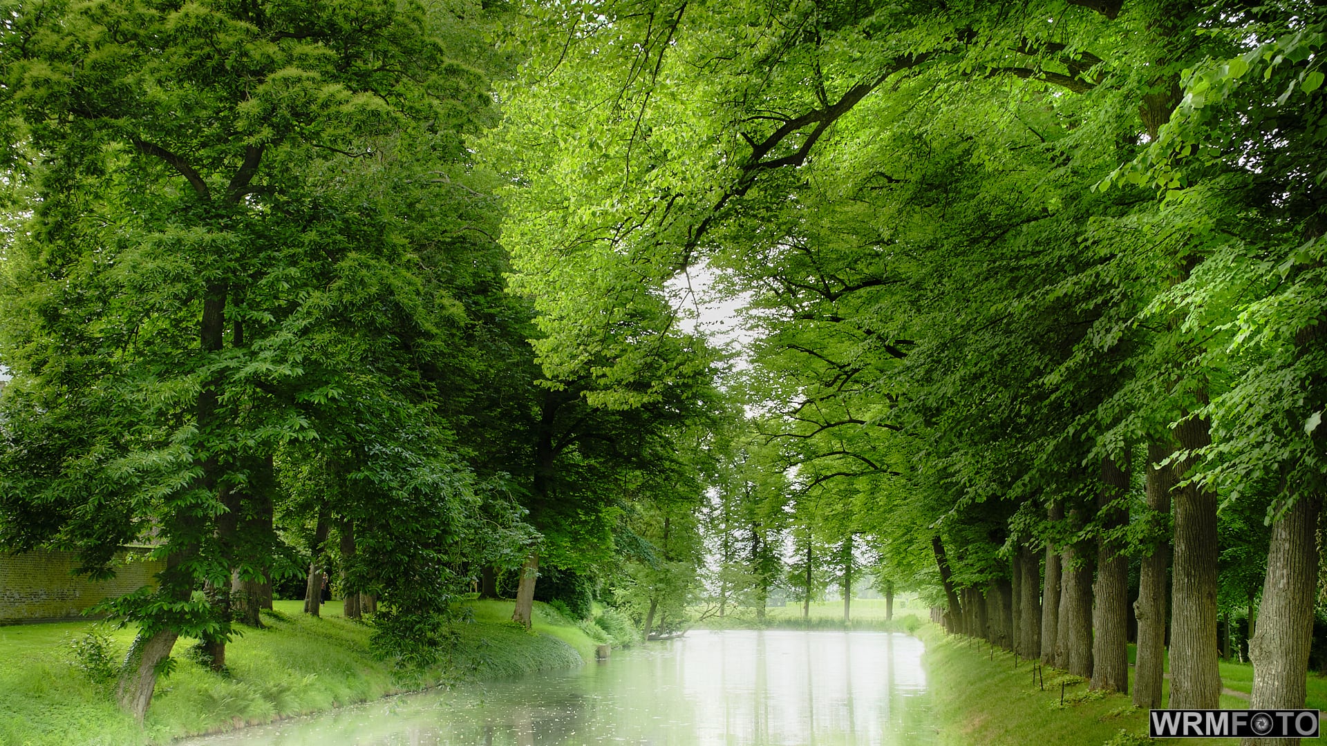 Beautifull green canal